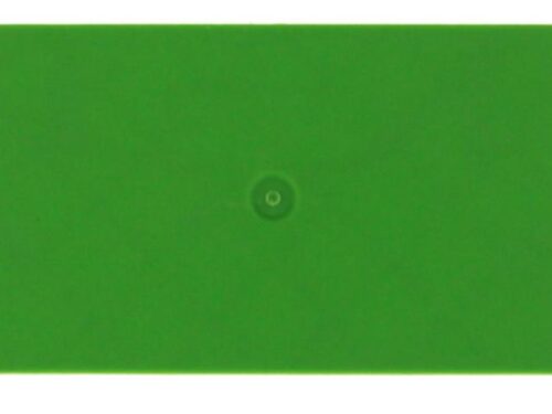 Flasque - Pour borne de raccordement push-in 2.5 - 4 mm² - Vert｜Contaclip