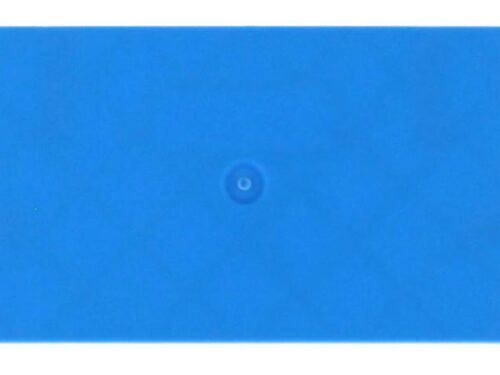 Flasque - Pour borne de raccordement push-in 2.5 - 4 mm² - Bleu｜Contaclip