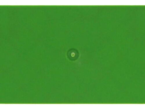 Flasque - Pour borne de raccordement push-in 4 - 6 mm² - Vert｜Contaclip