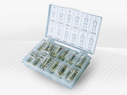 Boîte assortiment fusibles verres 5 x 20 - Rapide F