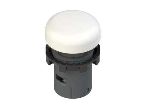 Voyant lumineux monolithique 24V AC/DC - Blanc - Pizzato