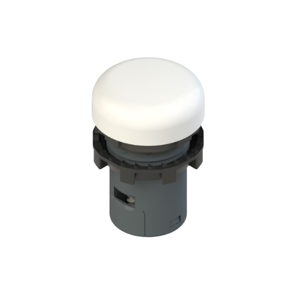 Voyant lumineux monolithique 24V AC/DC - Blanc - Pizzato
