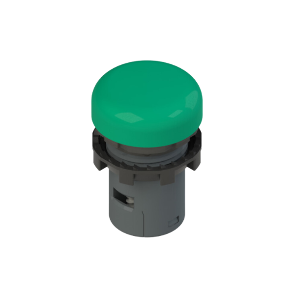 Voyant lumineux monolithique 24V AC/DC - Vert - Pizzato