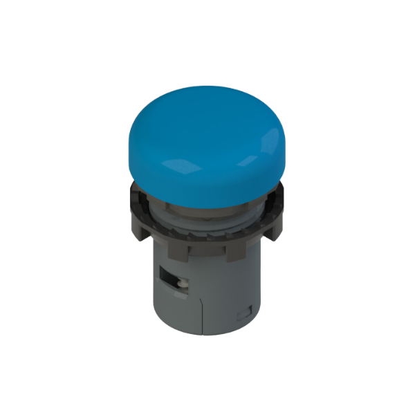 Voyant lumineux monolithique 24V AC/DC - Bleu - Pizzato