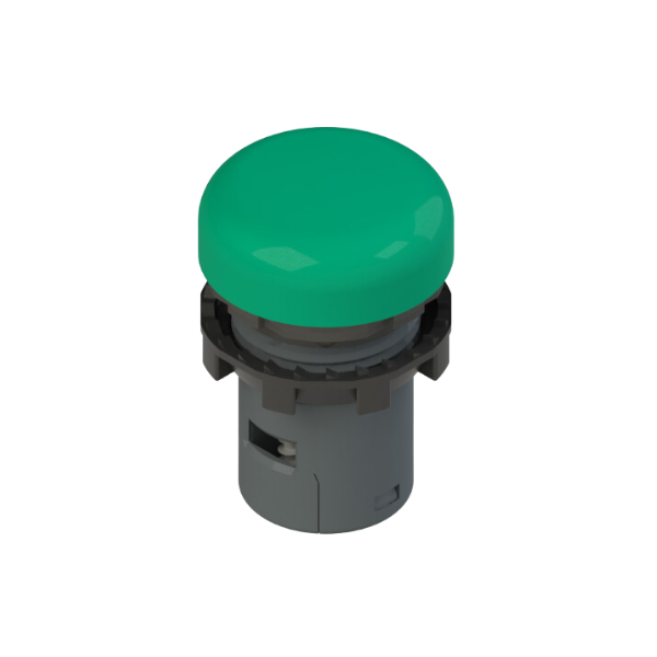 Voyant lumineux monolithique 230 VAC - Vert - Pizzato